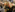 people shopping black friday sales frenzy